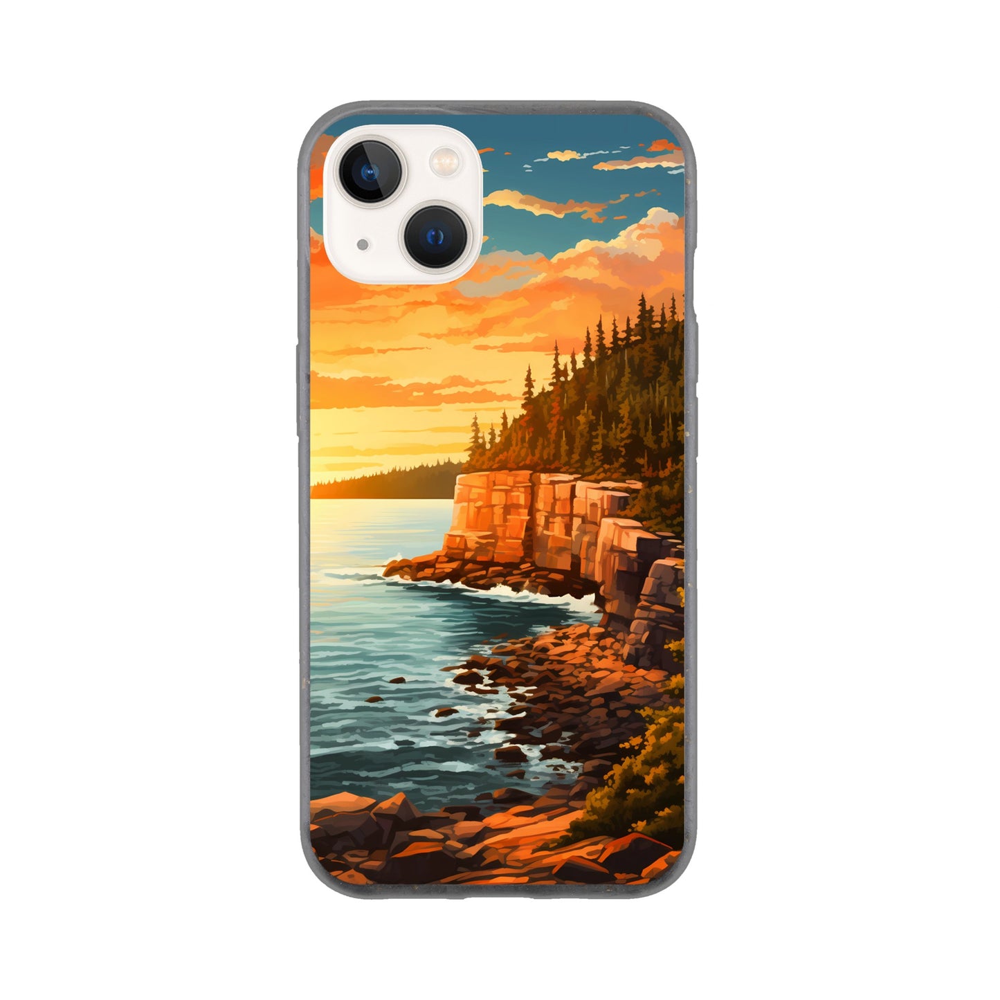 iPhone Case - Acadia Coastal Chronicles (National Park)