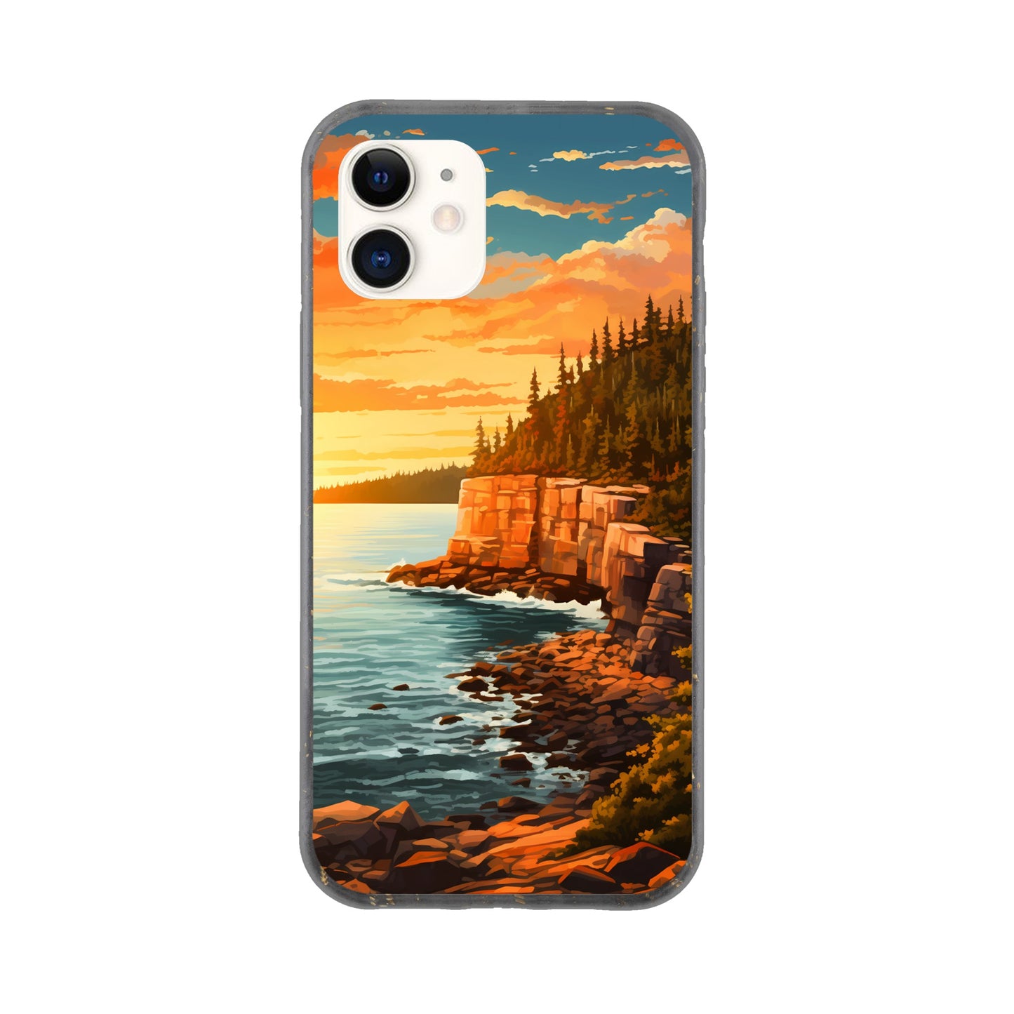 iPhone Case - Acadia Coastal Chronicles (National Park)