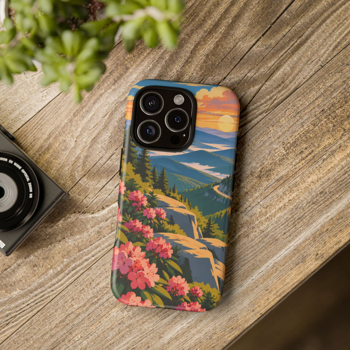 Blue Ridge Parkway — Ridgeway Bloom iPhone Tough Case