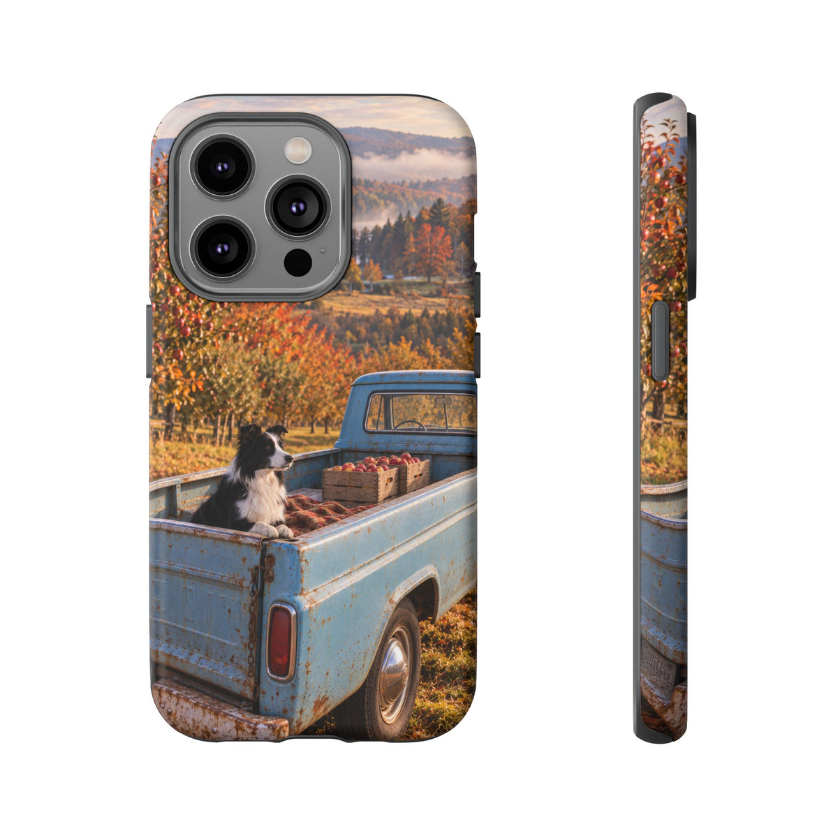 Blue Truck October iPhone Tough Case | border collie