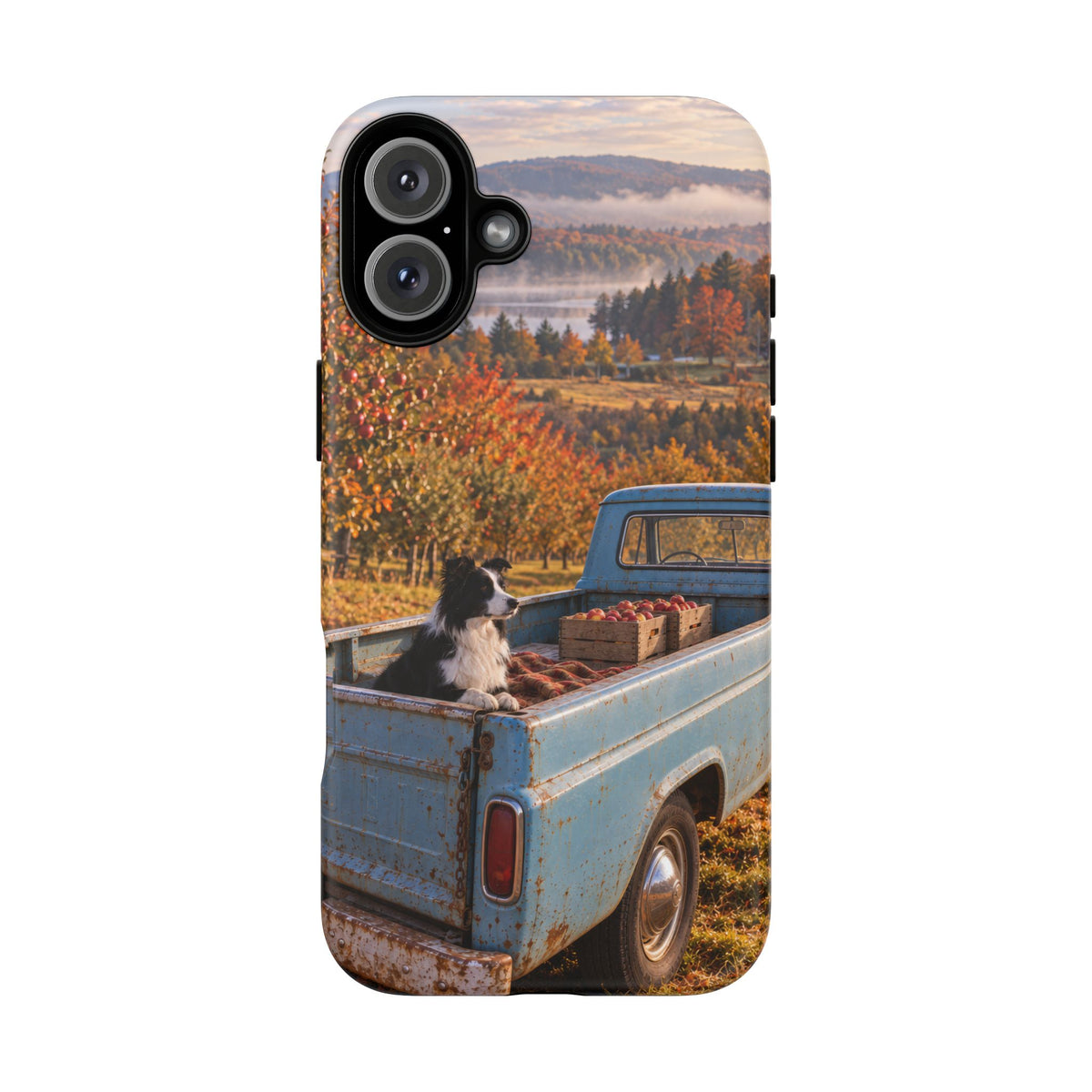 Blue Truck October iPhone Tough Case | border collie