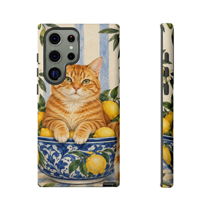 Citrus Inspector Samsung Galaxy Tough Case | ginger cat