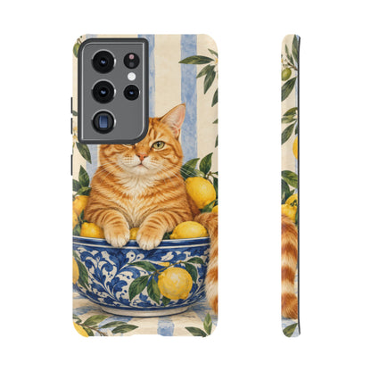 Citrus Inspector Samsung Galaxy Tough Case | ginger cat