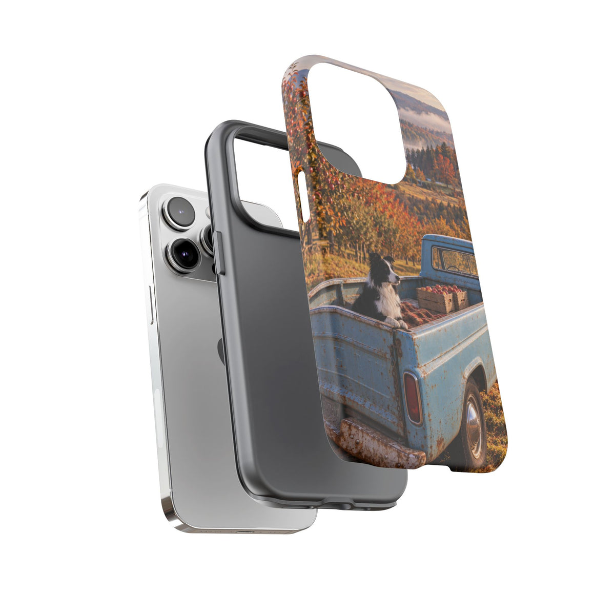 Blue Truck October iPhone Tough Case | border collie