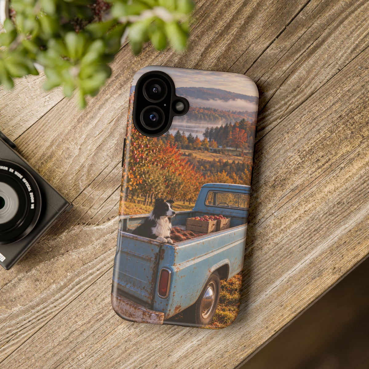 Blue Truck October iPhone Tough Case | border collie