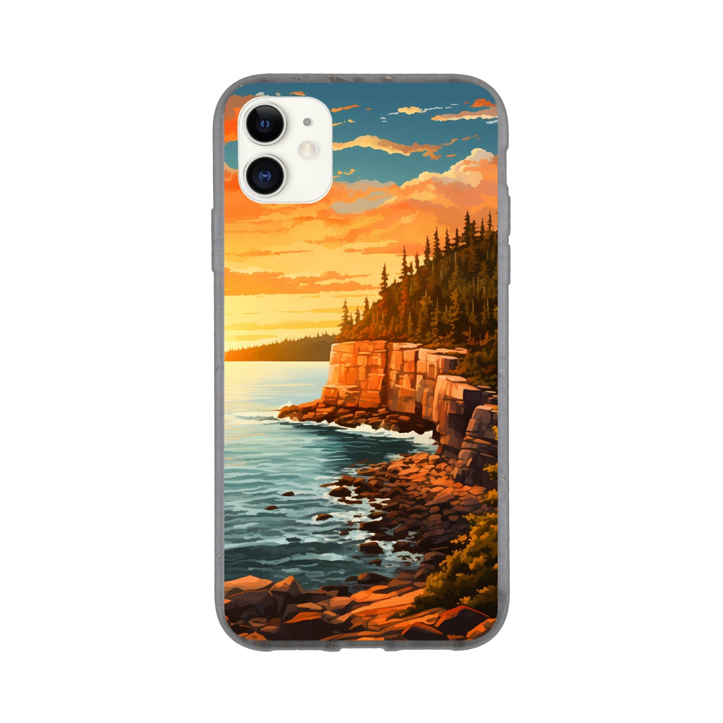 iPhone Case - Acadia Coastal Chronicles (National Park)