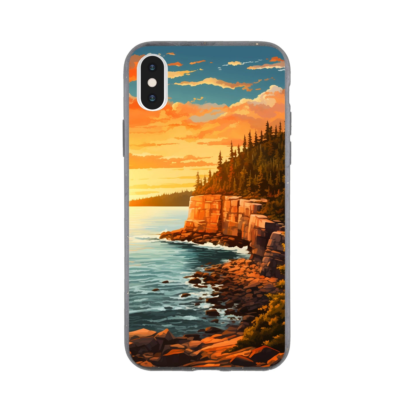 iPhone Case - Acadia Coastal Chronicles (National Park)