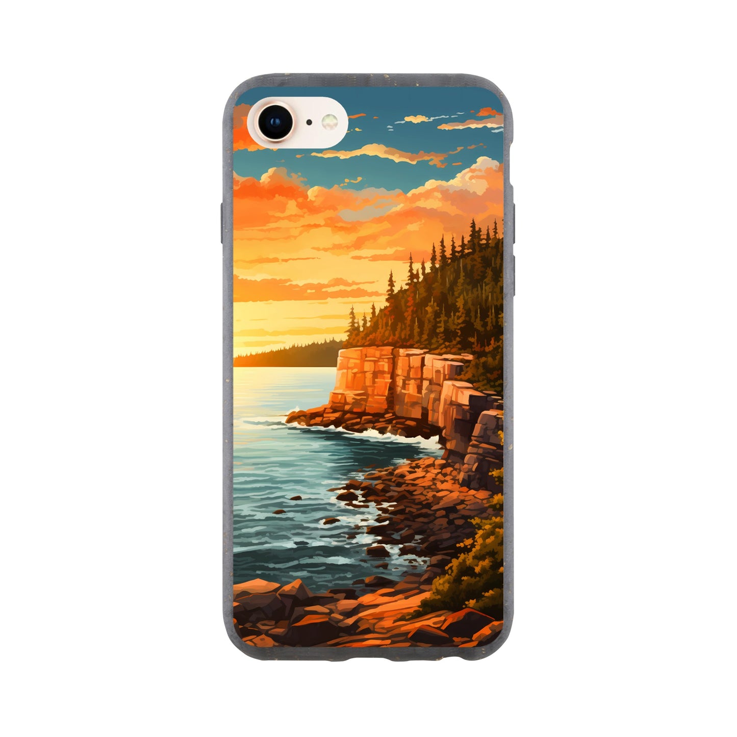 iPhone Case - Acadia Coastal Chronicles (National Park)