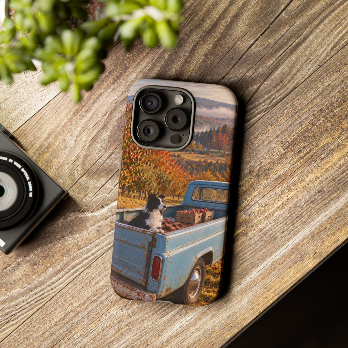 Blue Truck October iPhone Tough Case | border collie