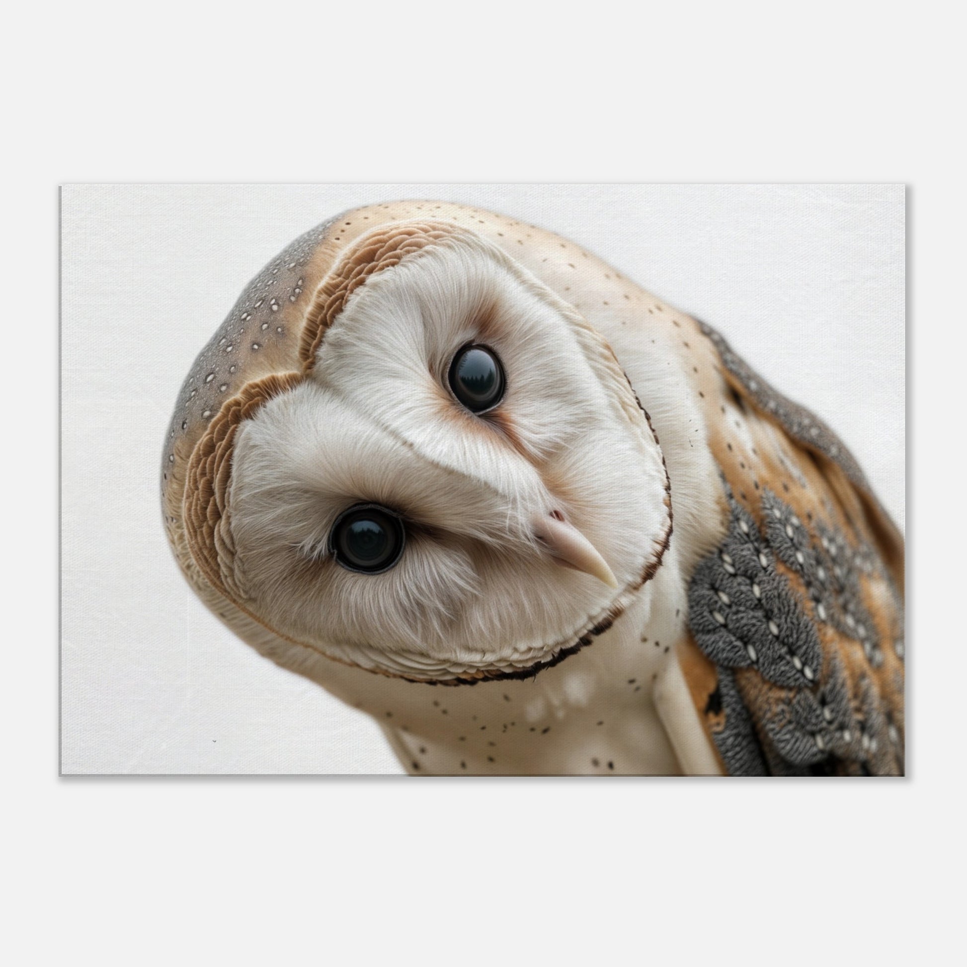 261ab1ea-d4f1-4a95-8a46-ba99ee33685d