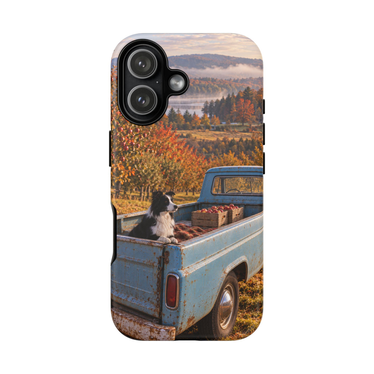 Blue Truck October iPhone Tough Case | border collie