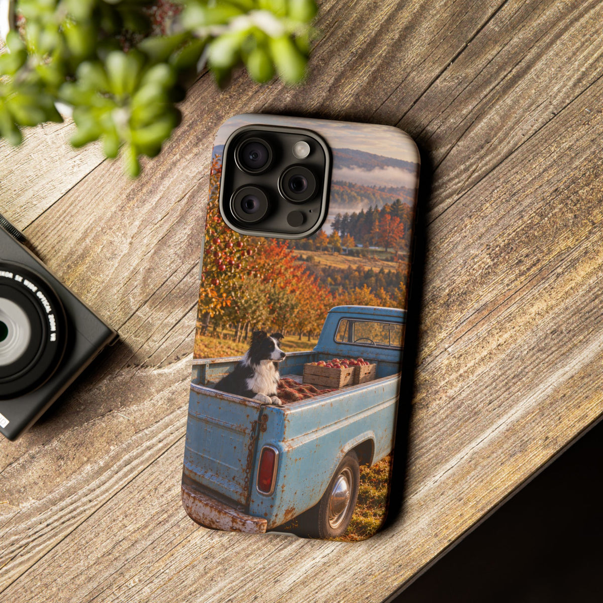 Blue Truck October iPhone Tough Case | border collie