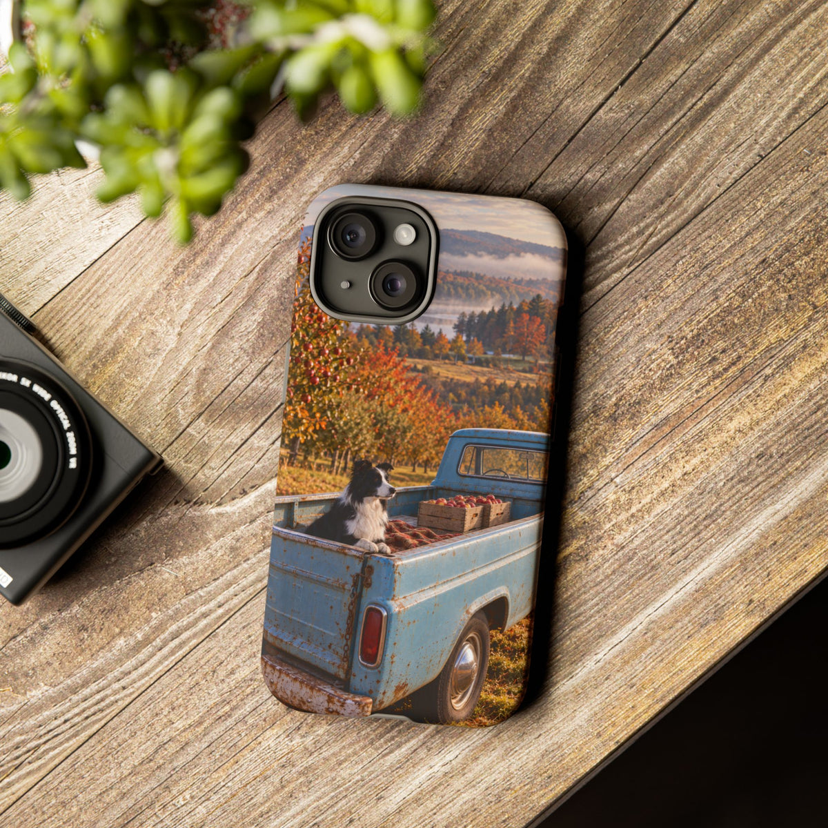 Blue Truck October iPhone Tough Case | border collie