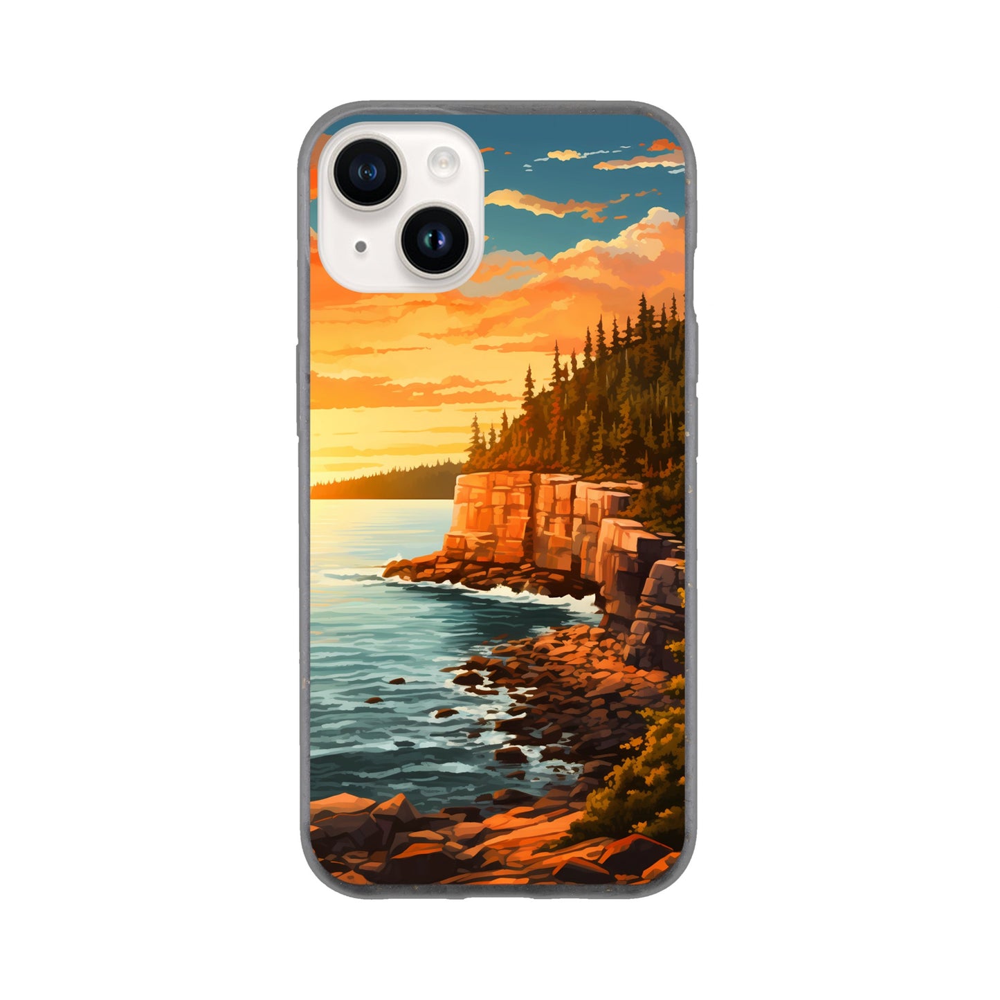 iPhone Case - Acadia Coastal Chronicles (National Park)