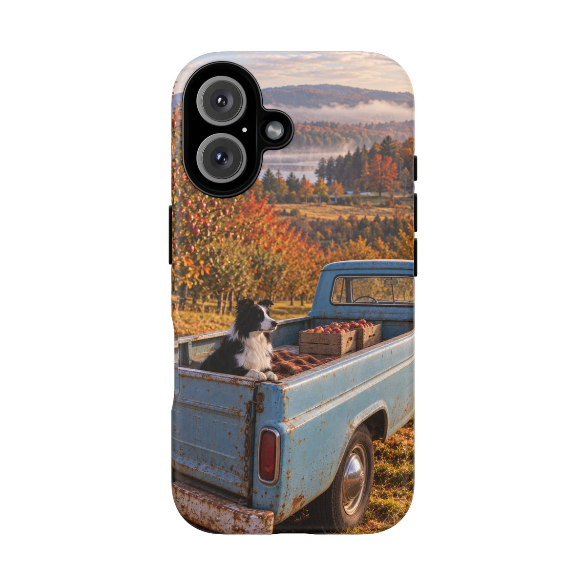 Blue Truck October iPhone Tough Case | border collie