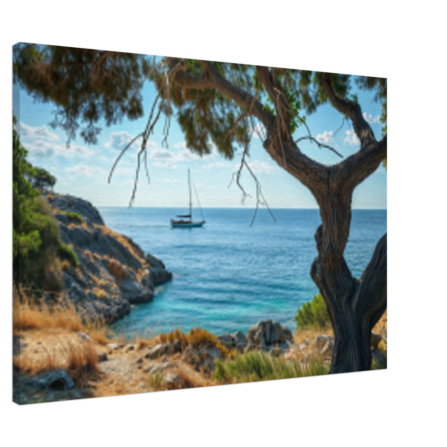 742e284d-bc42-4e9b-a500-fa7b89dfc9bb