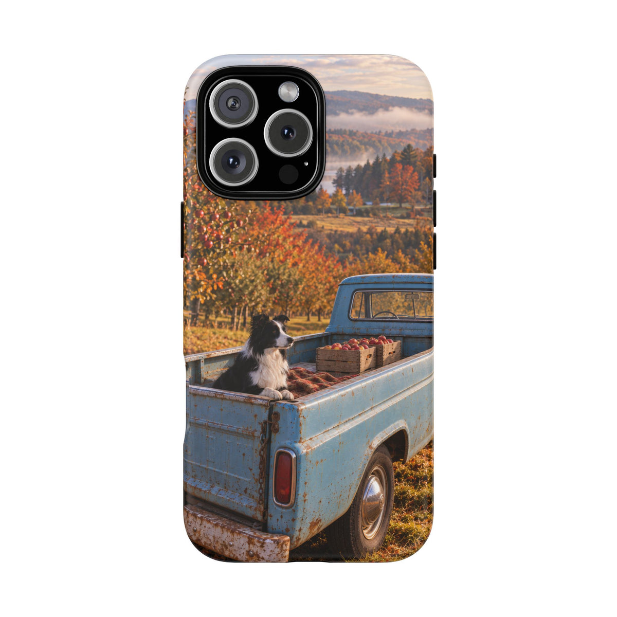 Blue Truck October iPhone Tough Case | border collie