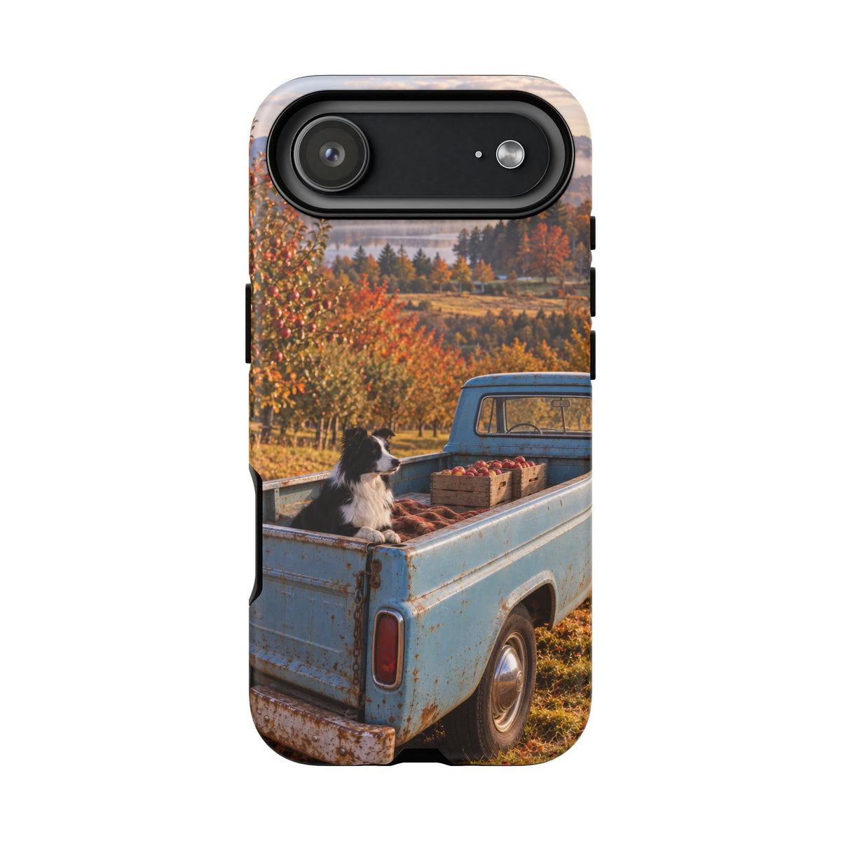Blue Truck October iPhone Tough Case | border collie