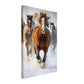Canvas Wall Art - Winter's Wild Majesty