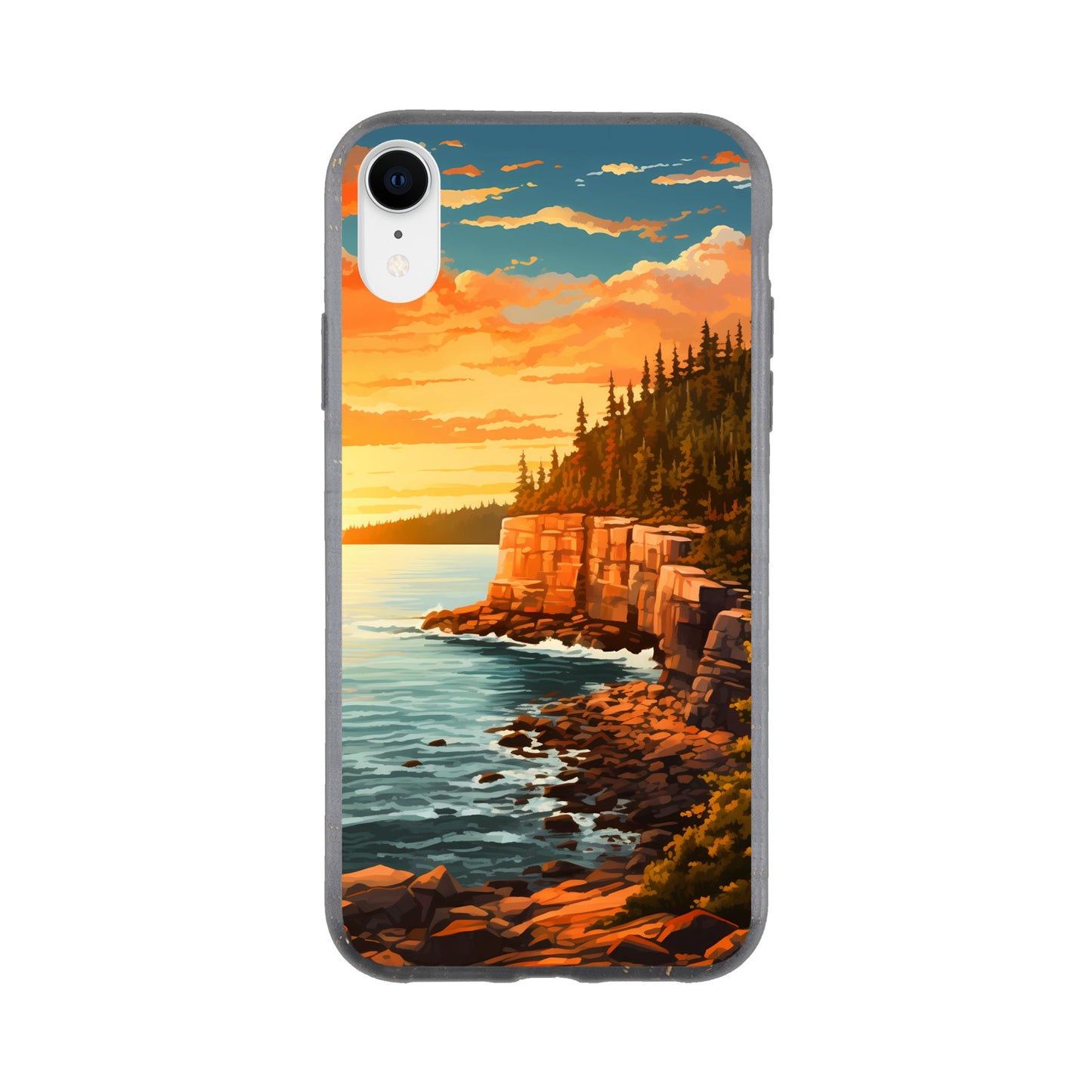 iPhone Case - Acadia Coastal Chronicles (National Park)