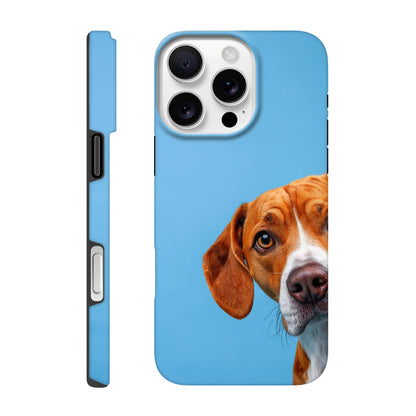c8fb79e9-1f34-423c-92ed-393f871ff762