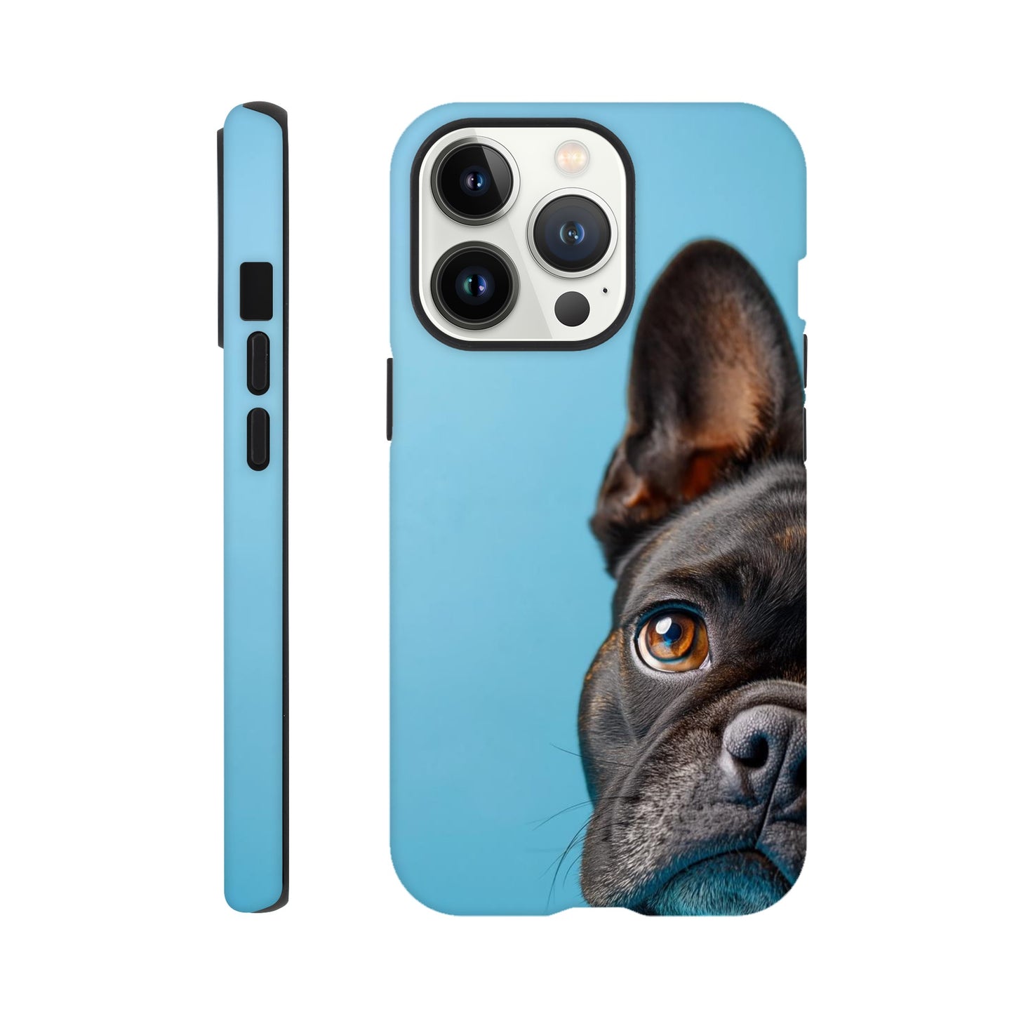 cf5b656b-3ac0-4f5d-9517-c977f60e16ed