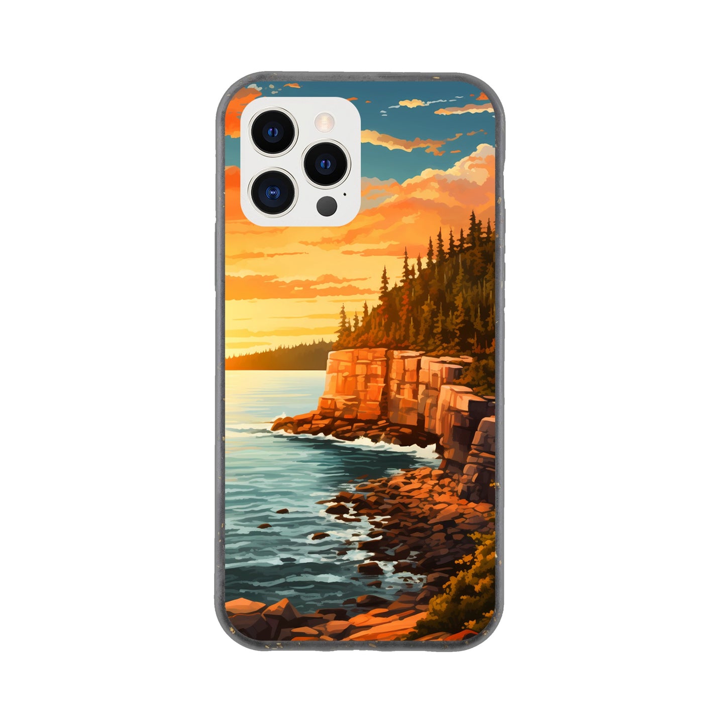 iPhone Case - Acadia Coastal Chronicles (National Park)
